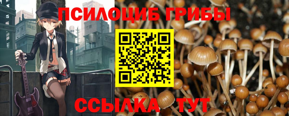 Псилоцибиновые грибы мицелий Кудрово