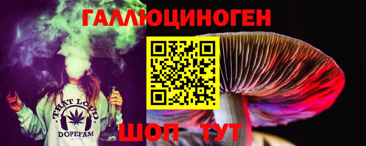 Кудрово  Псилоцибиновые грибы мицелий  Вход с VPN 